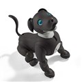 uaibo GXvb\ GfBV ERS-1000v