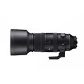 uSIGMA 60-600mm F4.5-6.3 DG DN OS | Sportsv
