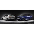 BMW X6M   X5M ̌s^iQlj