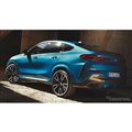 BMW X6 ǐV^
