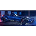 �h���J�[�u�[�g F22