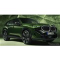 BMW XM の「BMWインディビジュアル」の特別塗装車