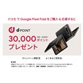 uGoogle Pixel FoldvΏۂɂd|Cg30,000|Cgv[gLy[