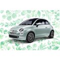 tBAbg500ZvFf