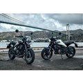 ハスクバーナ スヴァルトピレン 401(左)とヴィットピレン 401(右)
