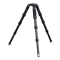 SCT-33/AD-SWOr