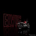 �{���l�r�� T120 �G�����B�X�E�v���X���[ ���~�e�b�h �G�f�B�V����