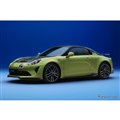 アルピーヌA110Rチュリニ(ヴェールフラッシュマット)