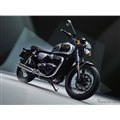 Bonneville T100 Icon Edition