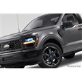 �t�H�[�h F-150 FP700S