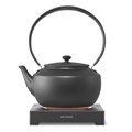 uMoonKettle KPT02JPv