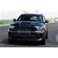 �_�b�W�E�f�������SSRT 392 AlcHEMI