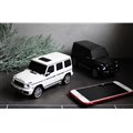 uMercedes-Benz AMG G 63Xs[J[v
