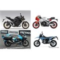 2024�N�ɓo�ꂵ���z���_�A���}�n�A�X�Y�L�A�J���T�L�̒��ڃ��f��