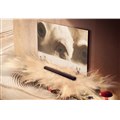 「Sonos Arc Ultra」