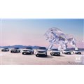 vW[̍ŐVEṼtCibv