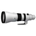 「Sigma 300-600mm F4 DG OS | Sports」