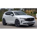 }c_ CX-5 ^̗\zCG