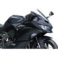 �J���T�L Ninja ZX-25R SE 2025�N���f��