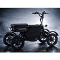 特定小型原動機付自転車「LBIRD(エルバード)」
