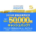�uAQUOS�L���b�V���o�b�N�L�����y�[���v