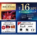 「ブラビア 新商品発売記念キャンペーン」
