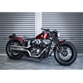 �T���_�[���[�^�[�T�C�N���Y �\�t�e�C���T���_�[ LS250-S