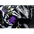 �X�Y�L Hayabusa Tuned by JURI