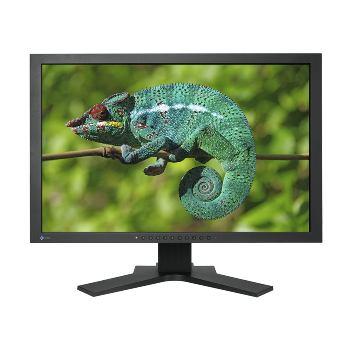ナナオ、24.1型カラーマネージメント液晶モニター - 価格.com