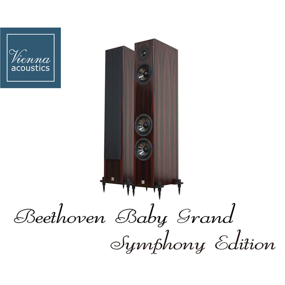 スピーカー・ウーファー Vienna Acoustics BEETHOVEN Concert Grand Vienna Acoustics Beethoven Concert Grand Reference