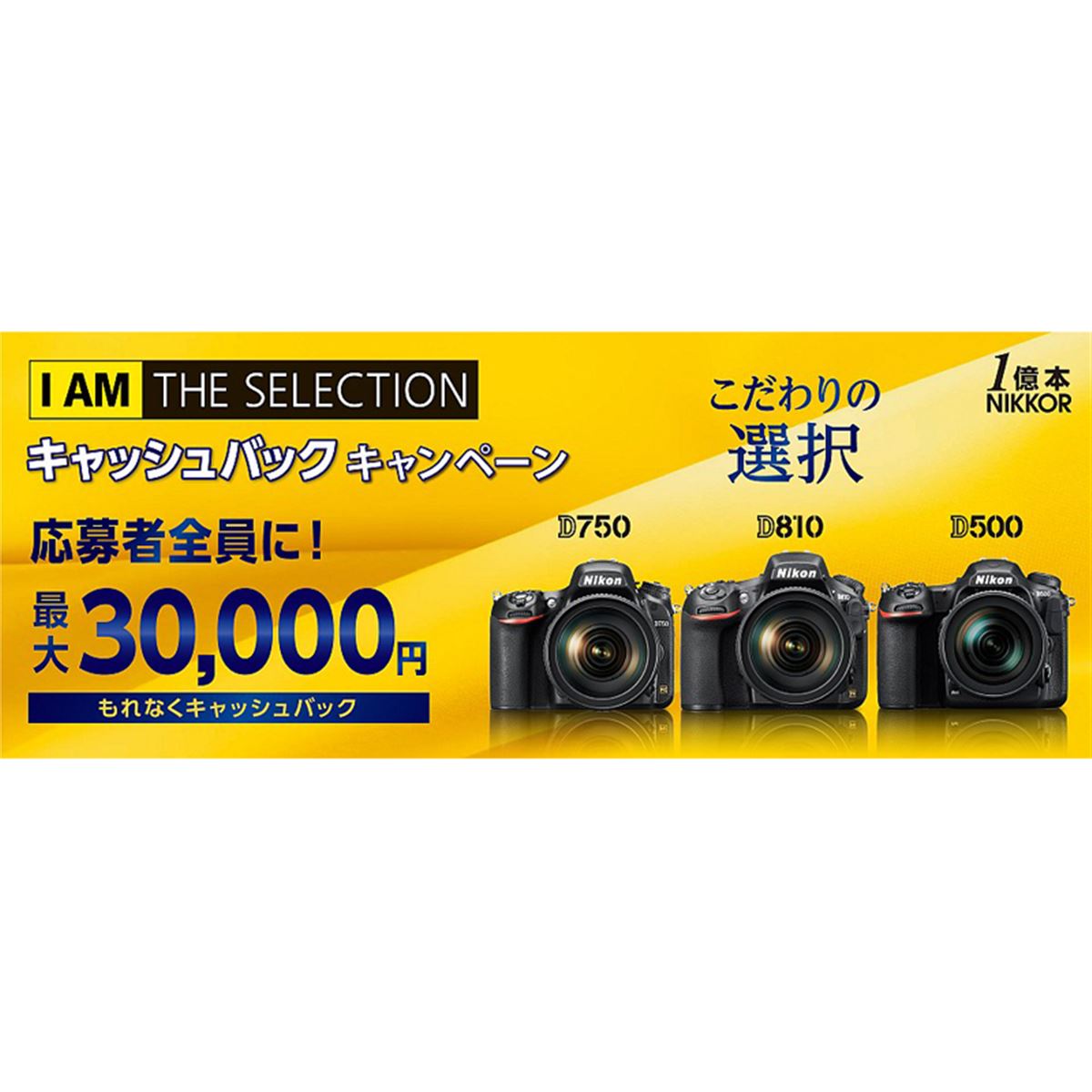 Nikon D810 レンズセット　3日間限定！ Nikon D810 レンズセット 3日間限定！ Nikon D810 レンズセット 3日間