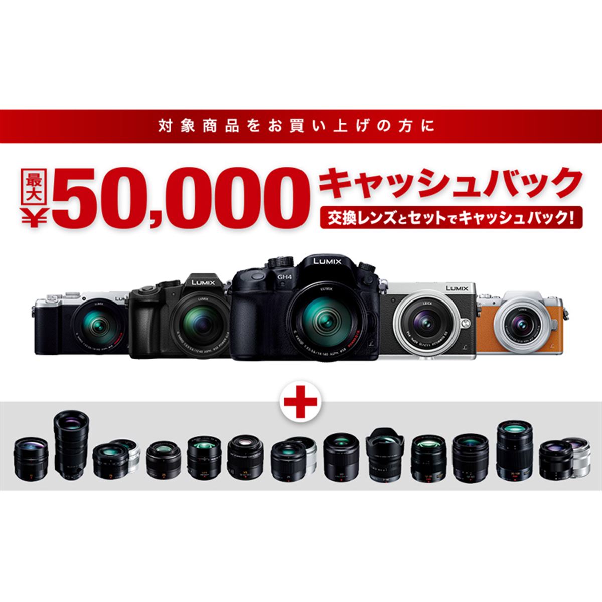 Panasonic LUMIX G 公式通販 レンズ + パナソニック H-H025 Pana DMC