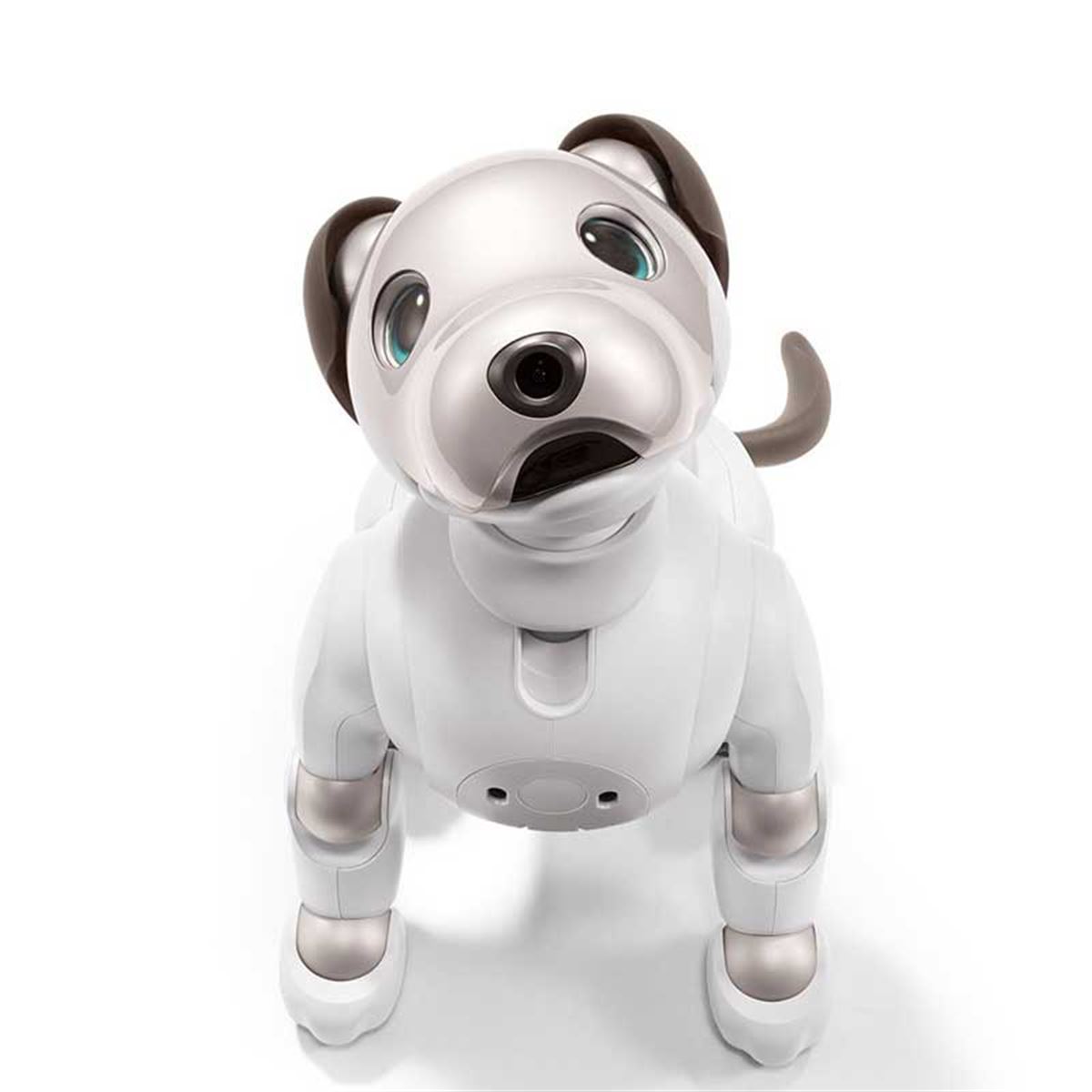 初回分が完売した「aibo」、次回予約開始は11月11日午前11時01分に - 価格.com