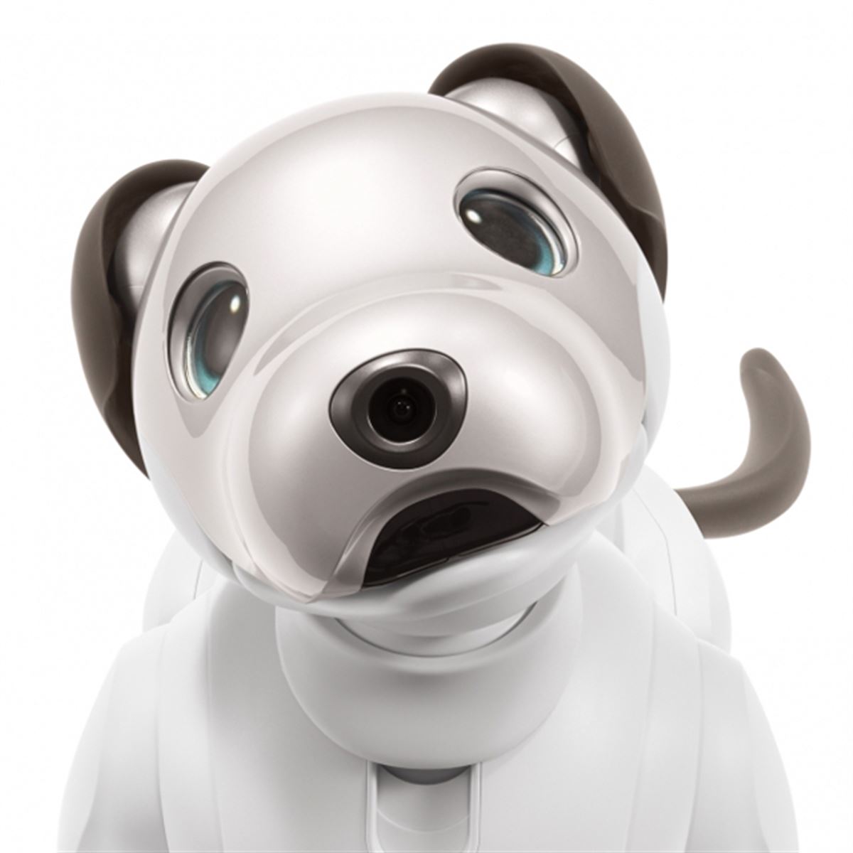 ソニーが「aibo（アイボ）」の予約販売を7/19開始、すべての希望者に提供へ - 価格.com