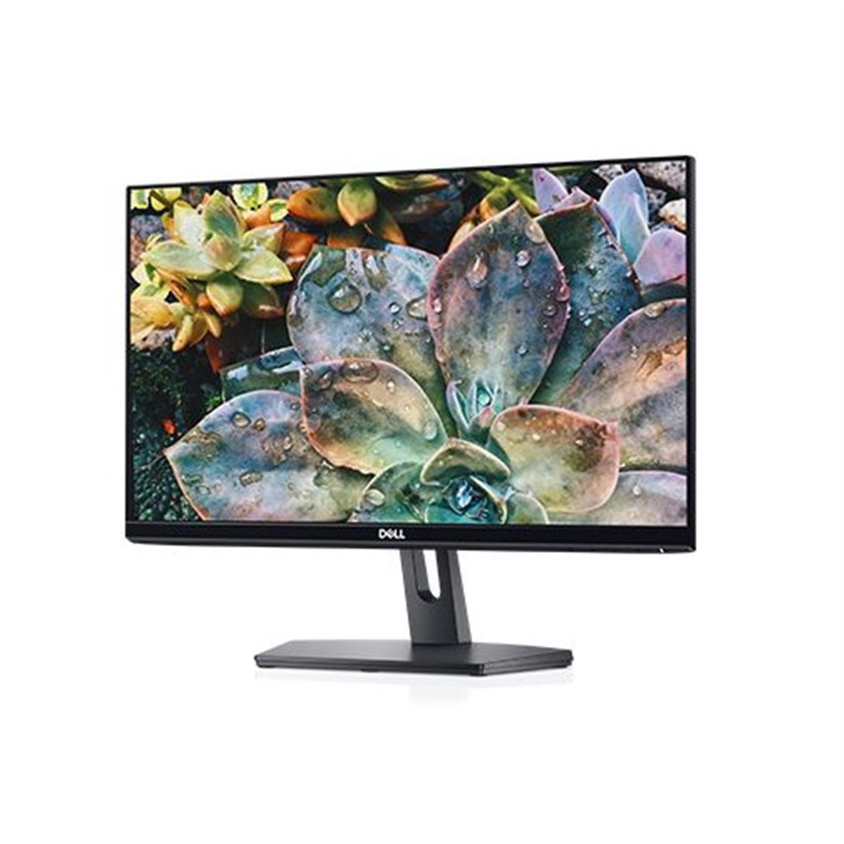 ディスプレイ・モニター本体 DELL SE2219H Amazon.co.jp: Dell SE2219H 21.5インチIPS LEDバックライトLCD