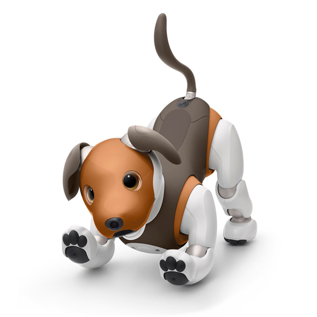 ソニー、aibo（アイボ）の2019年限定カラーモデル「チョコ エディション」発表 - 価格.com