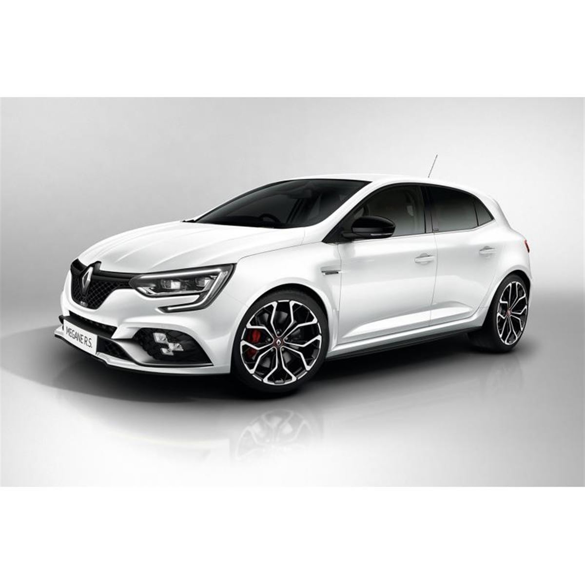 RENAULT ルノー MAGNESIUM 6 マグネシウム6 引取限定 神奈川
