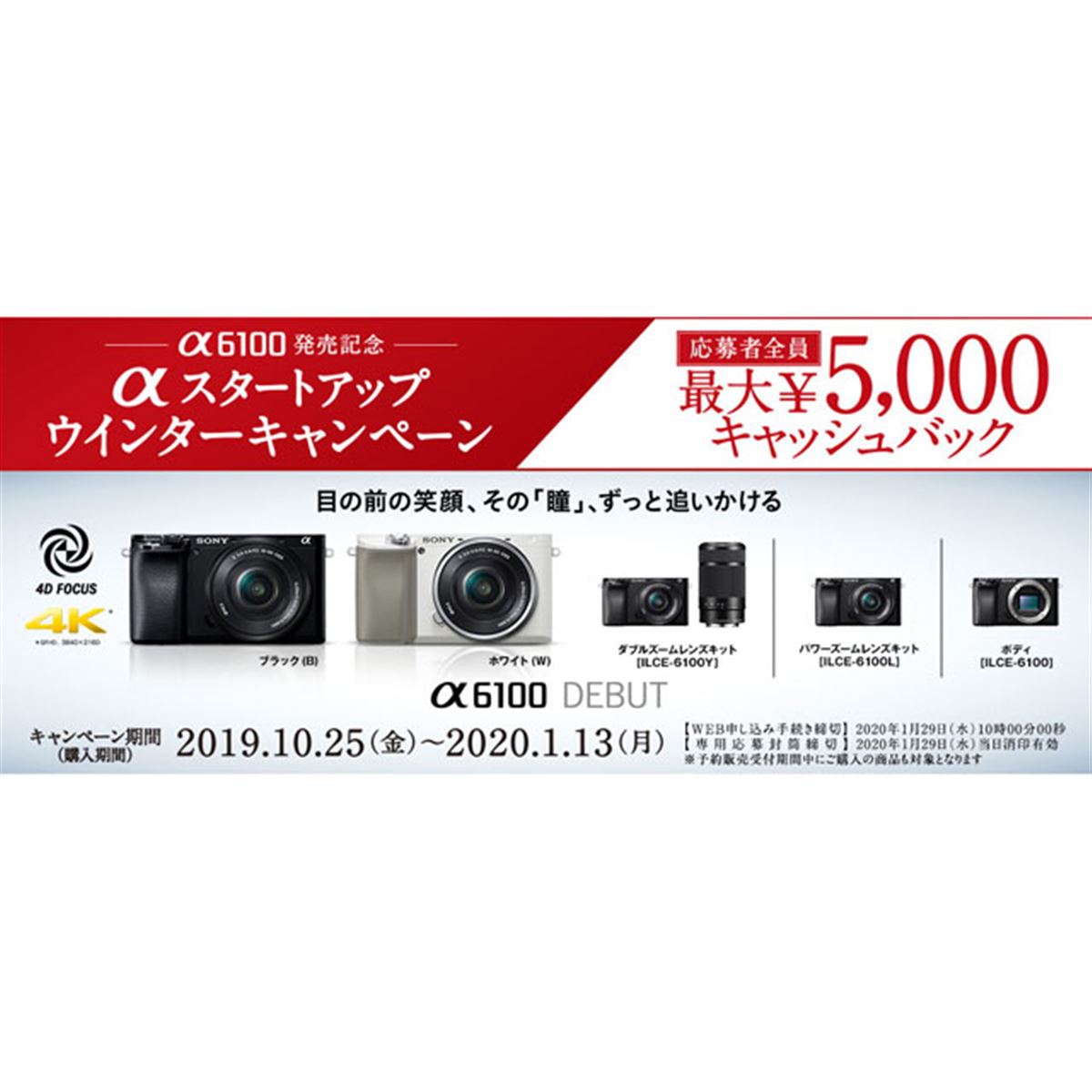 SONY(ソニー) ミラーレス一眼 α6100 ダブルズームレンズキット