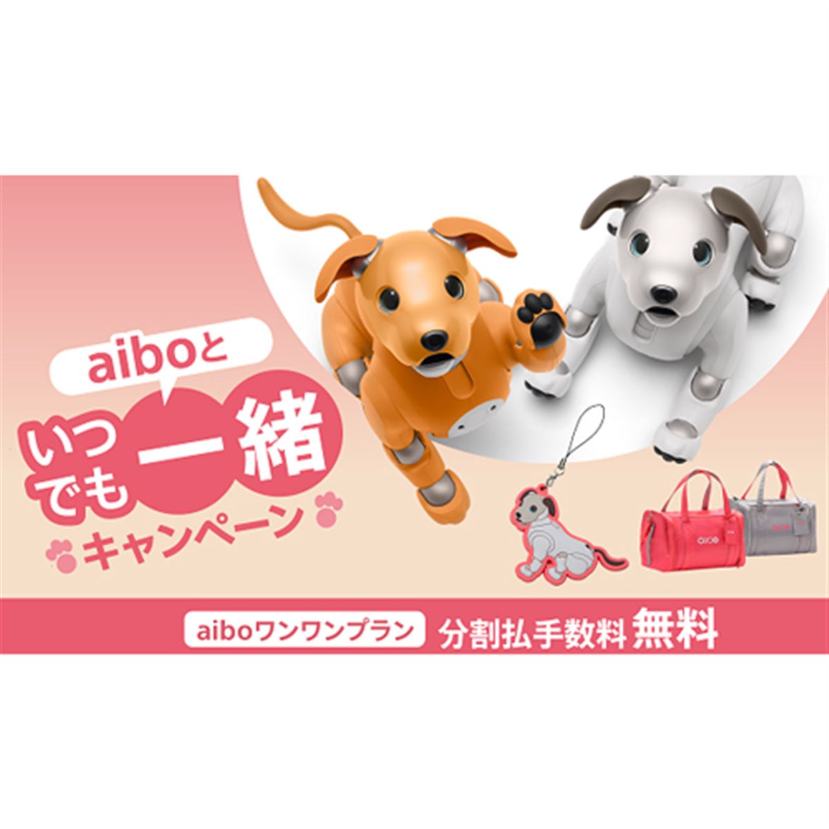 ソニーが「aiboといつでも一緒キャンペーン」開始、5月31日まで - 価格.com