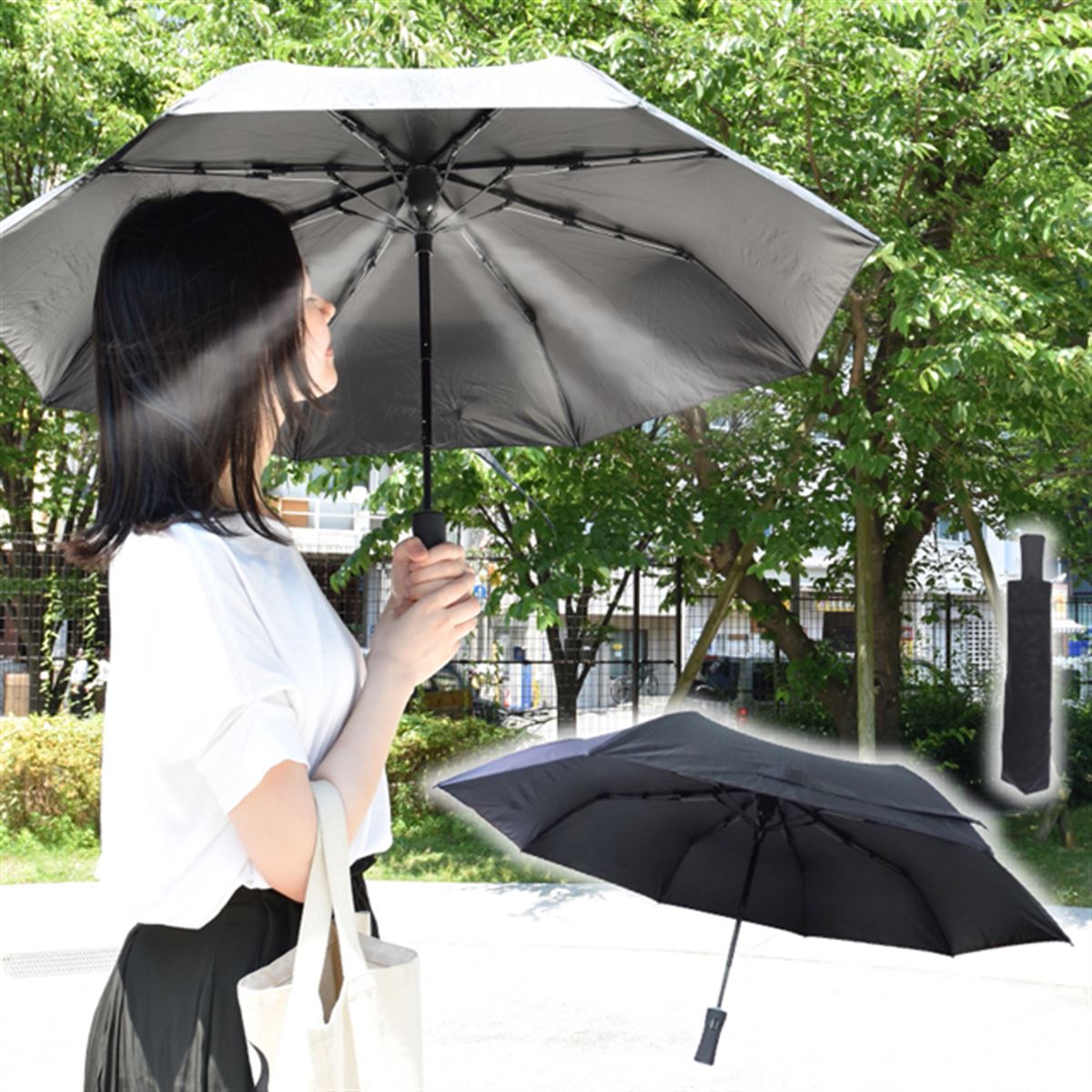 霧深い雨林　ロシア語　4枚セット　ZEN 霧深い雨林 ロシア語 4枚セット ZEN 霧深い雨林/Misty
