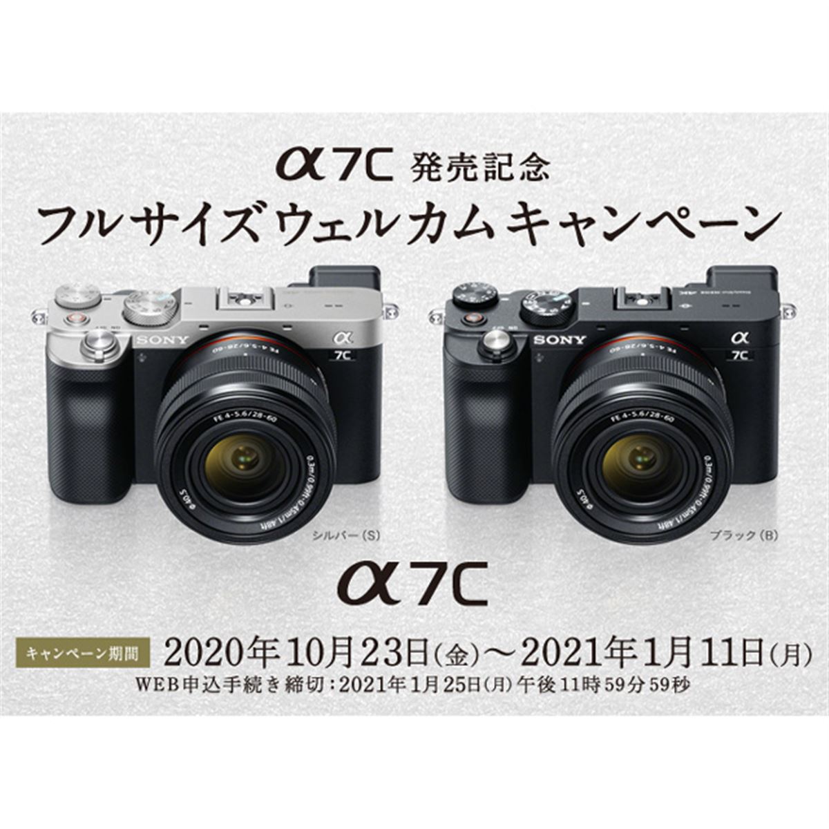 SONY - ❤️初心者、女性に❤️ミラーレス❤️SONY F3 ❤️初心者、女性に❤️ミラーレス❤️SONY F3 ミラーレス一眼