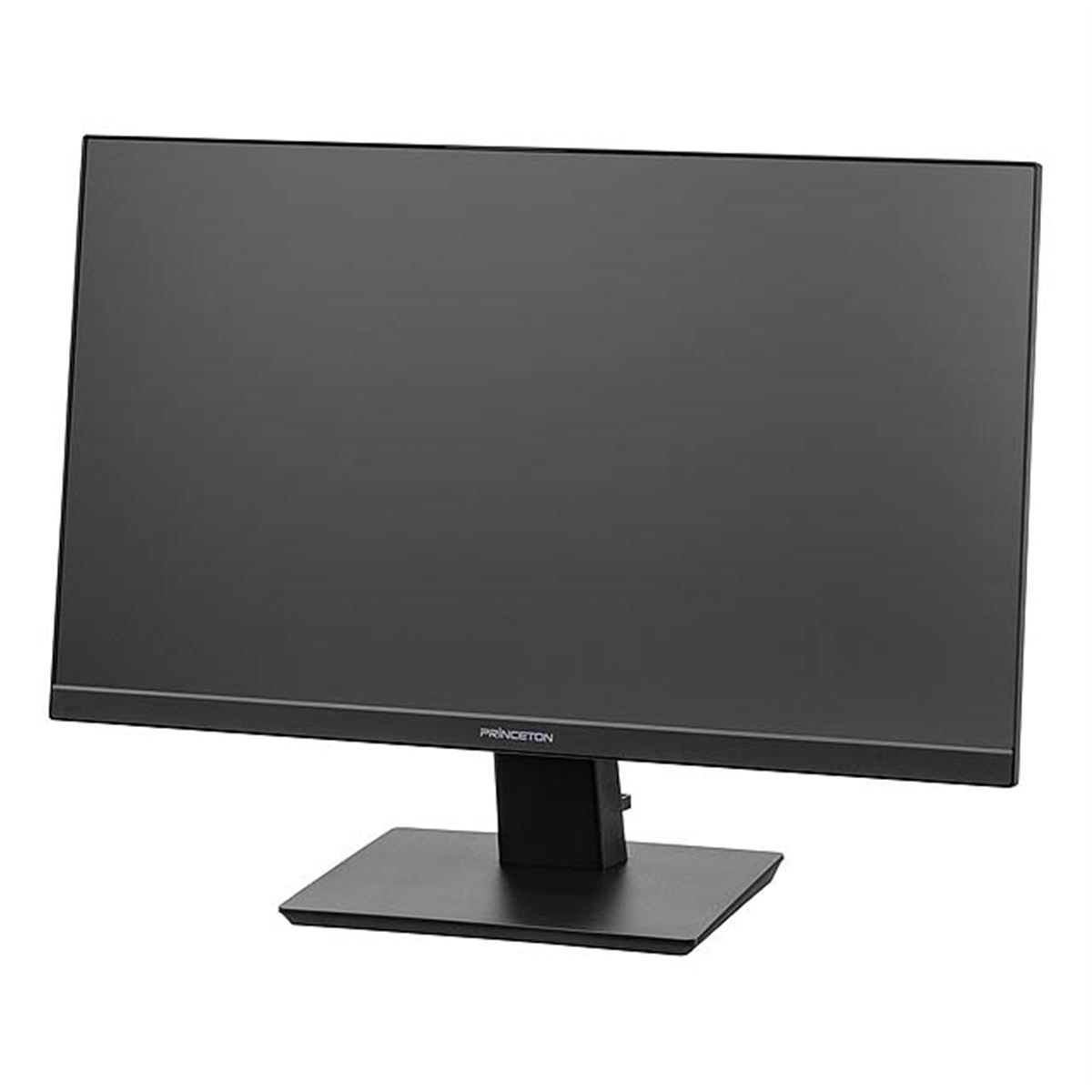 プリンストン、4系統の入力端子を搭載した23.8型液晶ディスプレイ