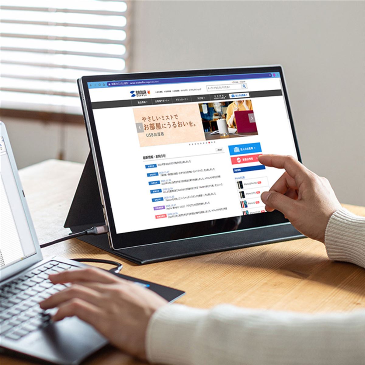 サンワサプライ DP-02 モバイルディスプレイ本体 DP-02【モバイルモニター(15.6インチ・フルHD・IPS光沢液晶・USB Type