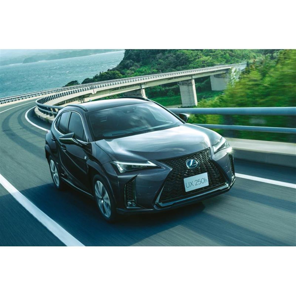 レクサスUX」の特別仕様車“Fスポーツ スタイルブルー”発売