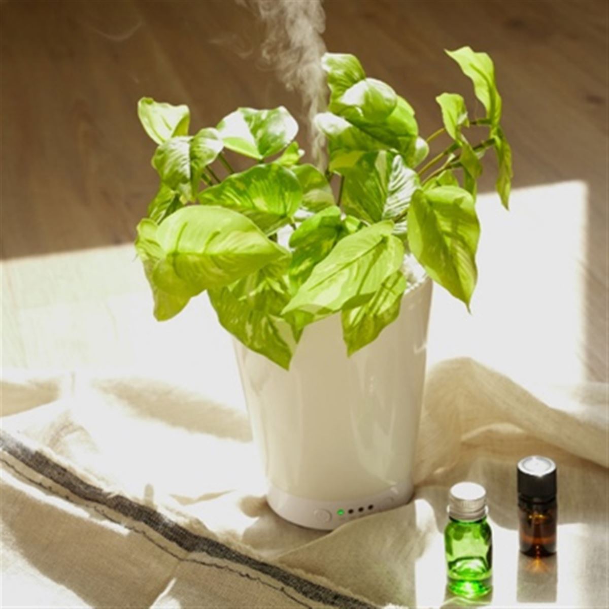 ライソン、人工グリーンからミストが噴き出すアロマ加湿器「GREEN