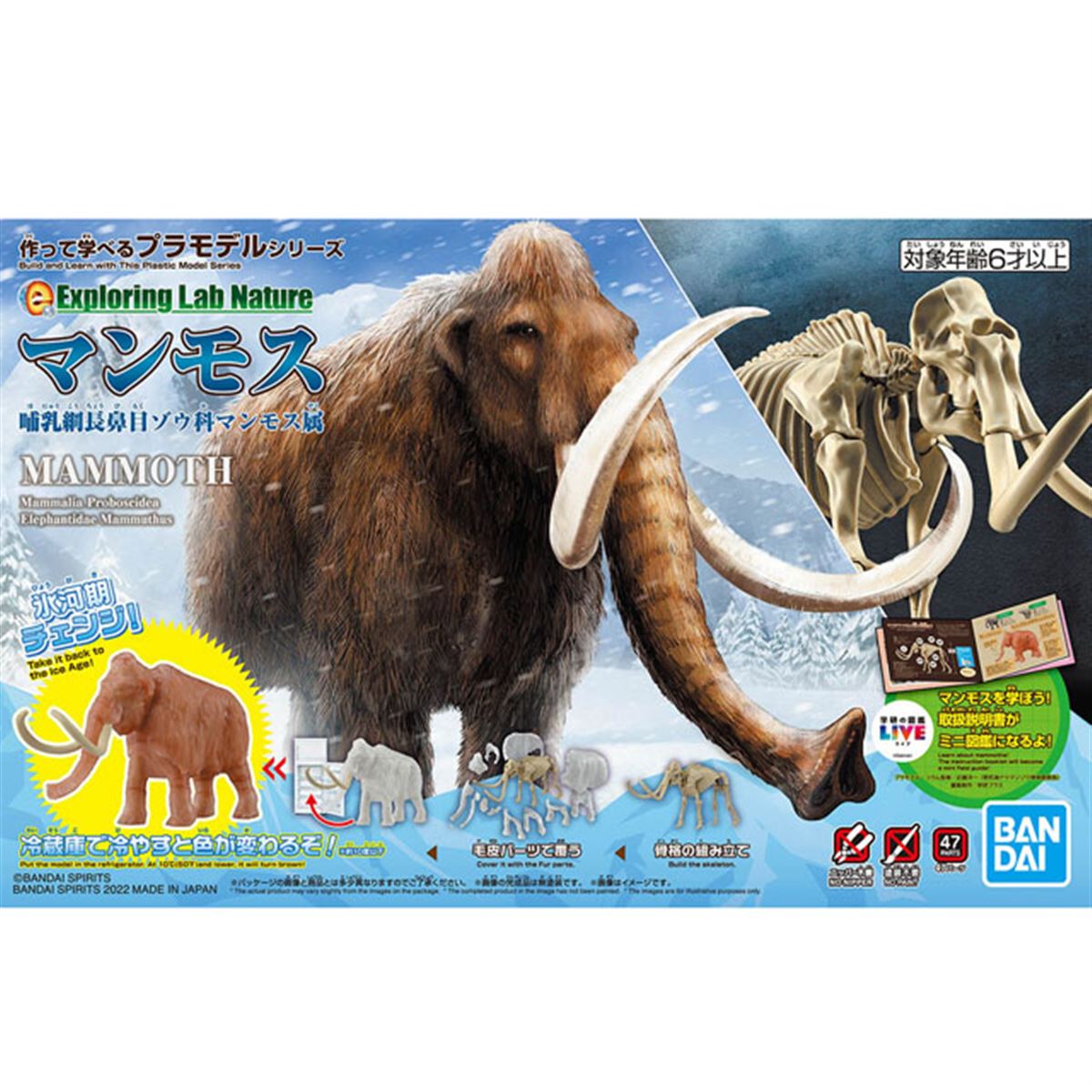 冷蔵庫で冷やすとマンモスが復元」10度を下回ると色が変わる