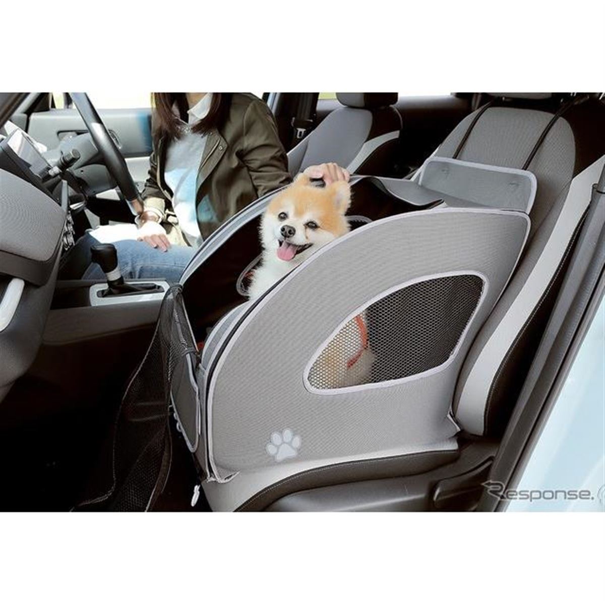 ホンダ N-BOX で愛犬といっしょにキャンプ…インターペット2022で提案へ - 価格.com