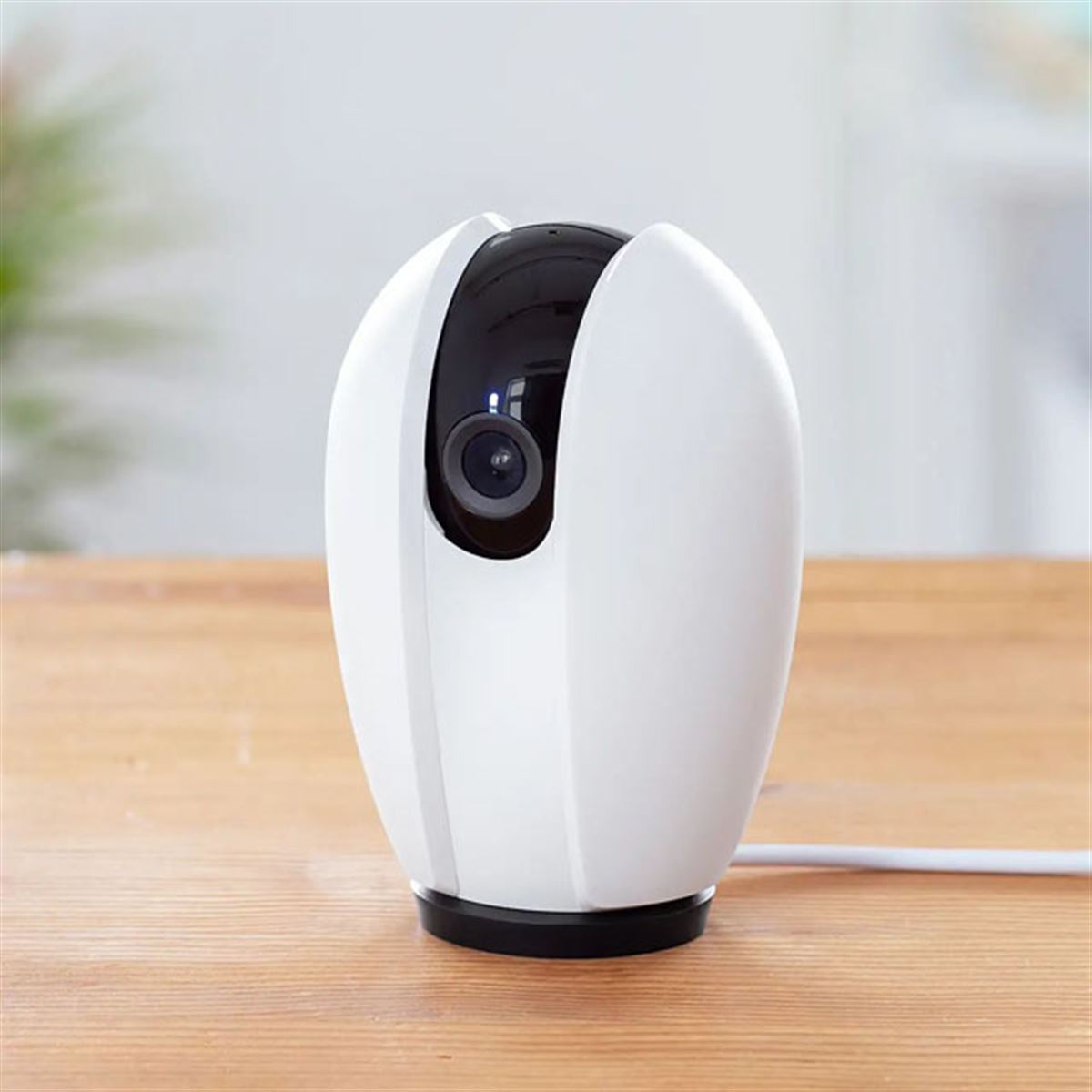 サンワ、自動追尾機能を搭載した「Wi-Fi接続ネットワークカメラ
