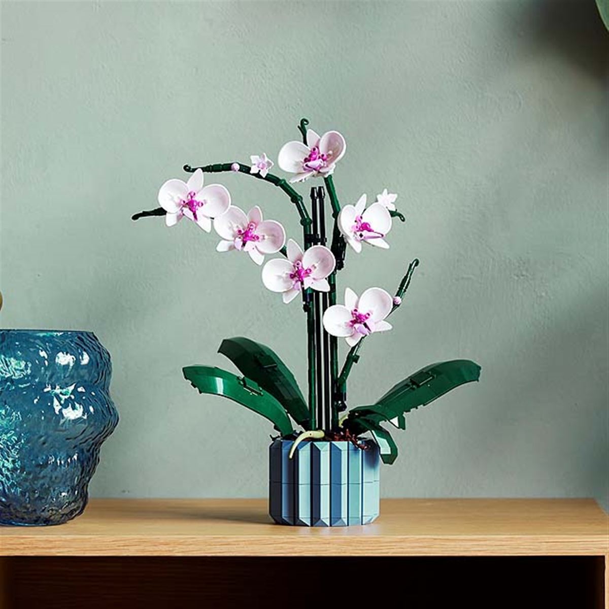 レゴ、「ボタニカル コレクション」から「胡蝶蘭」「多肉植物」 - 価格.com