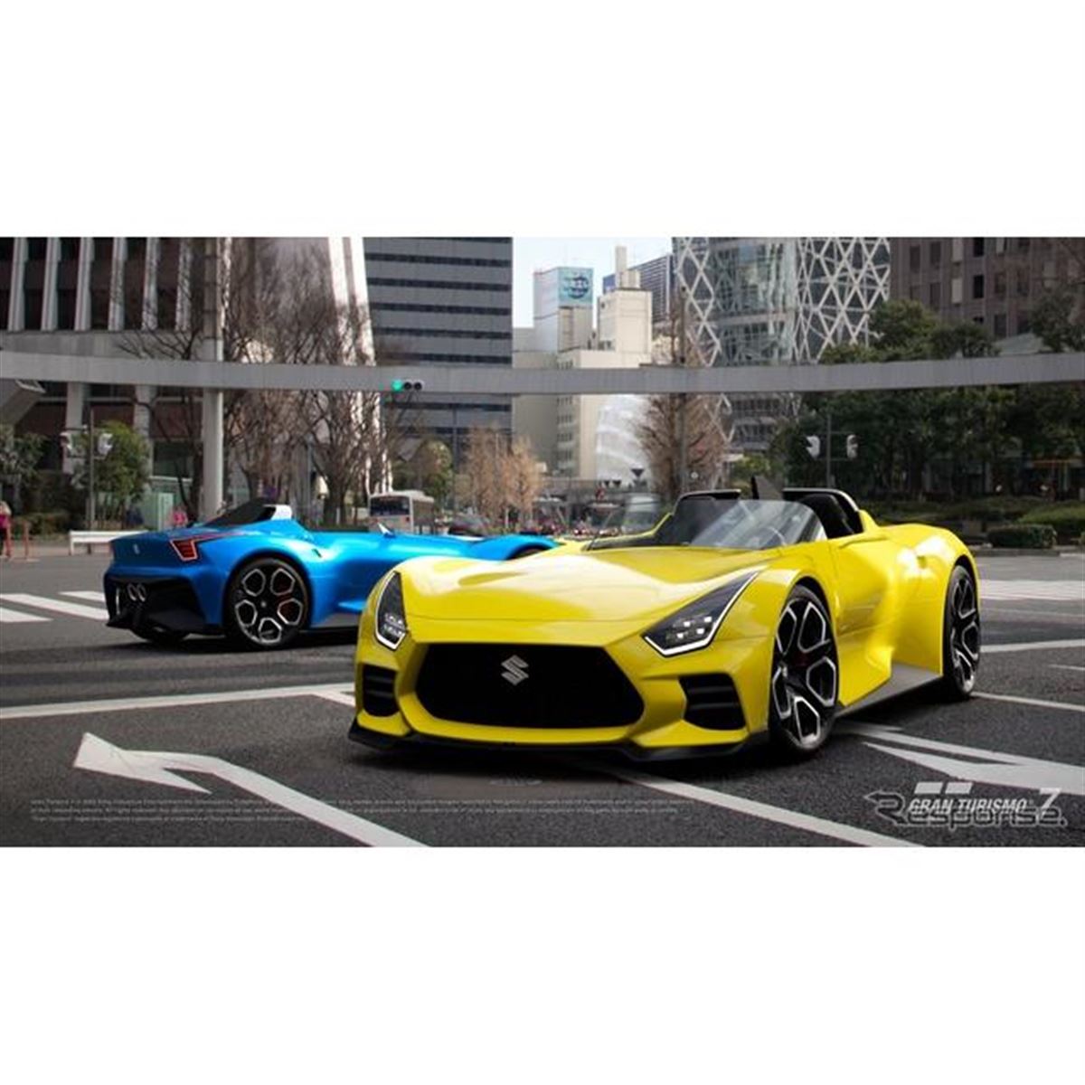 最終値下げ特価❗本日まで❗早いもの勝ち❗パキポディウム　グラキリス現地球　大株 最終価格 早い者勝ち パキポディウム グラキリス 現地球 コレクション